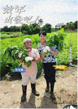 晚风厨房嘉宾关系图